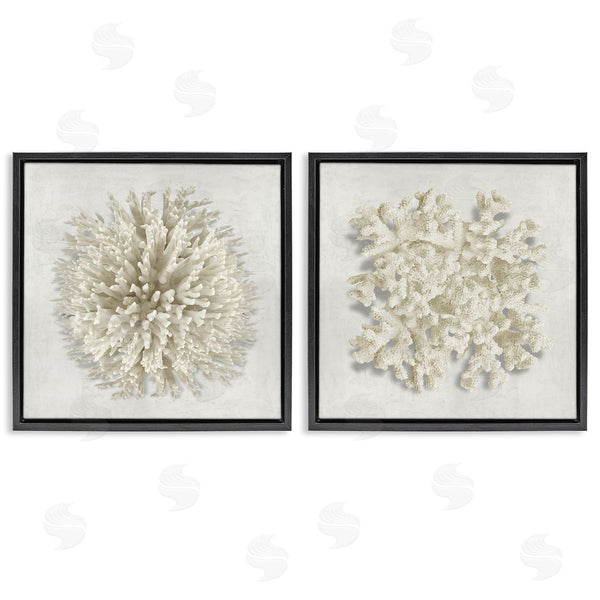 Stupell Industries Caroline Kelly | Distinct Natural Coral