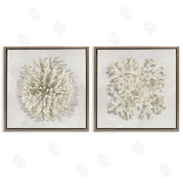 Stupell Industries Caroline Kelly | Distinct Natural Coral