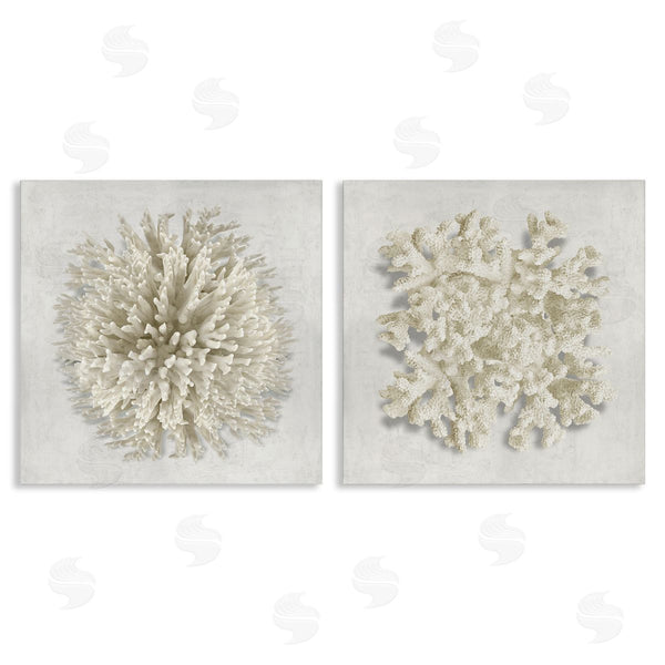 stupell industries Caroline Kelly | Distinct Natural Coral