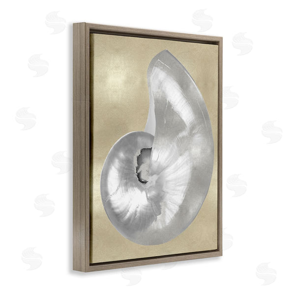 Stupell Industries Caroline Kelly | Glam Nautilus Shell Soft Grey Neutral Over Beige