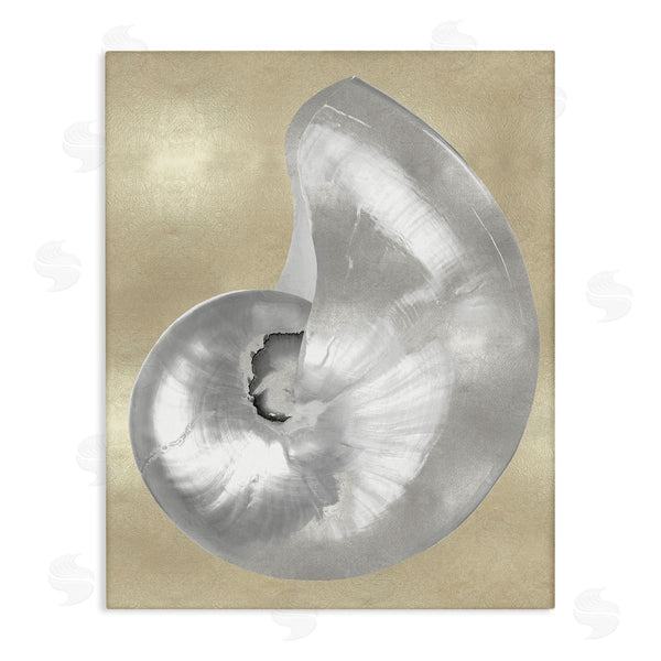 stupell industries Caroline Kelly | Glam Nautilus Shell Soft Grey Neutral over Beige