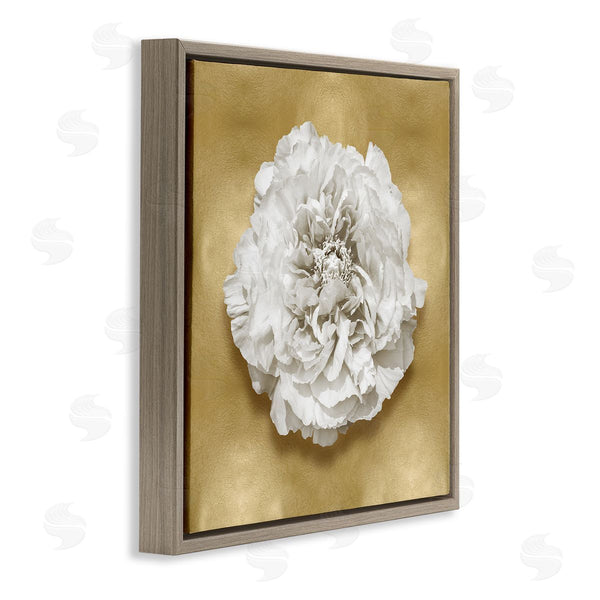 Stupell Industries Caroline Kelly | Glam White Carnation