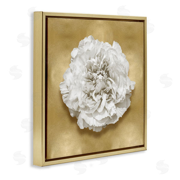 Stupell Industries Caroline Kelly | Glam White Carnation