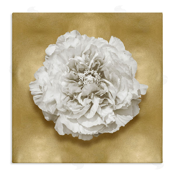stupell industries Caroline Kelly | Glam White Carnation