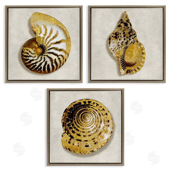 Stupell Industries Caroline Kelly | Golden Spiral Seashells With Intricate Patterns Wall Art