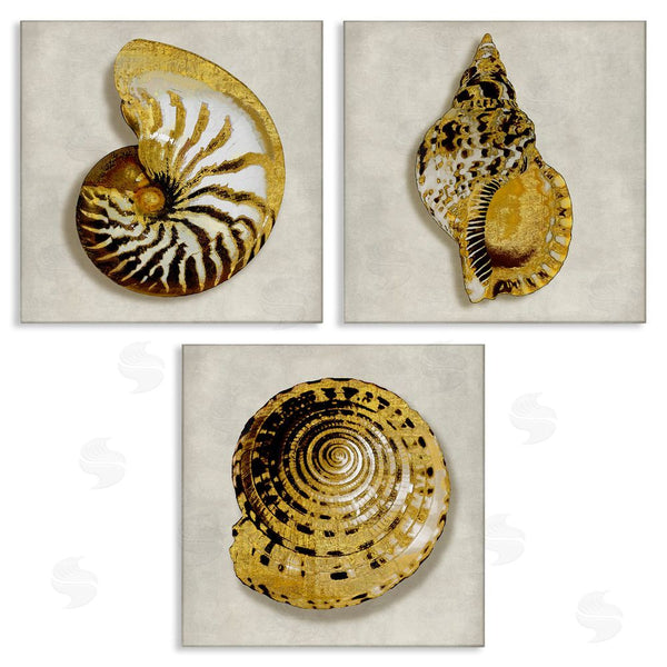 stupell industries Caroline Kelly | Golden Spiral Seashells with Intricate Patterns Wall Art