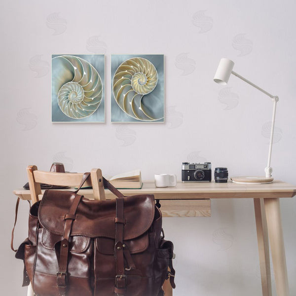Stupell Industries Caroline Kelly | Intricate Nautilus Interior Natural Geometric Wall Art