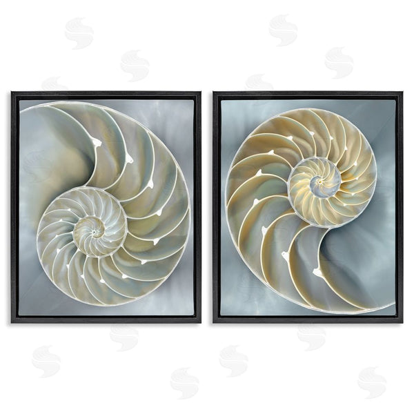Stupell Industries Caroline Kelly | Intricate Nautilus Interior Natural Geometric Wall Art