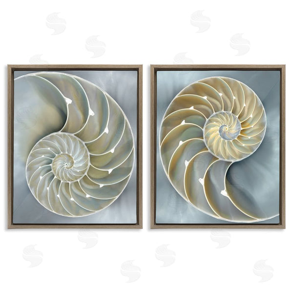 Stupell Industries Caroline Kelly | Intricate Nautilus Interior Natural Geometric Wall Art