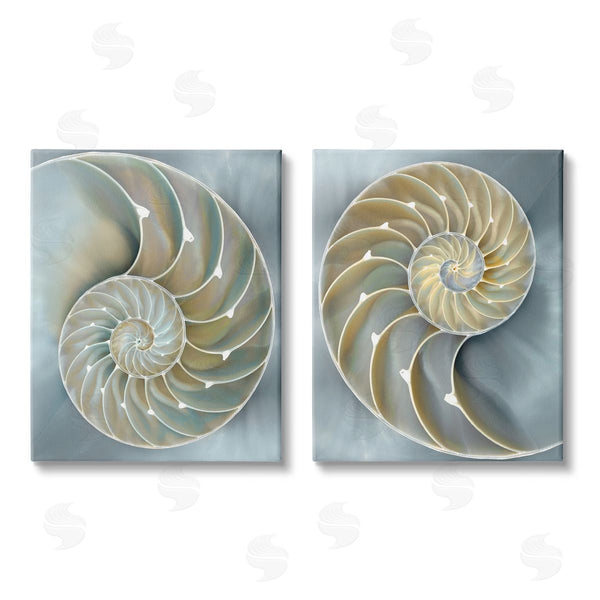 stupell industries Caroline Kelly | Intricate Nautilus Interior Natural Geometric Wall Art