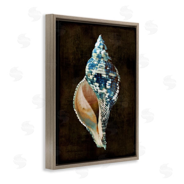 Stupell Industries Caroline Kelly | Modern Conch Shell Wall Art