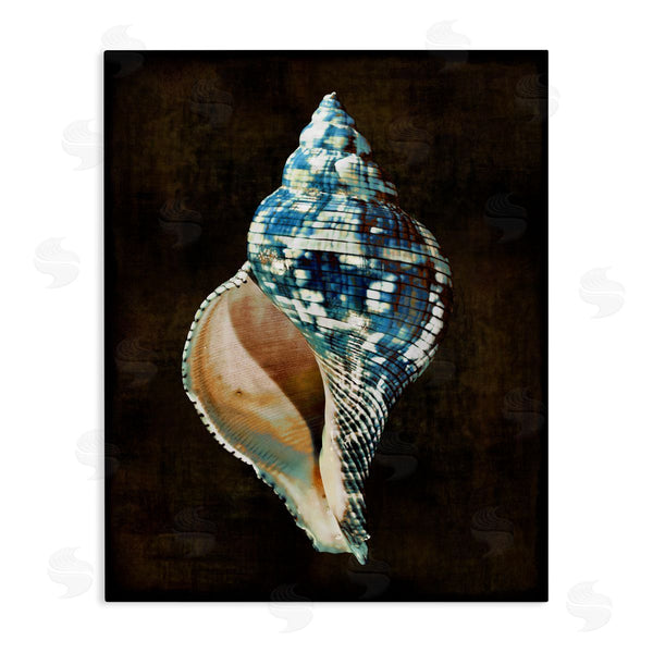 stupell industries Caroline Kelly | Modern Conch Shell Wall Art