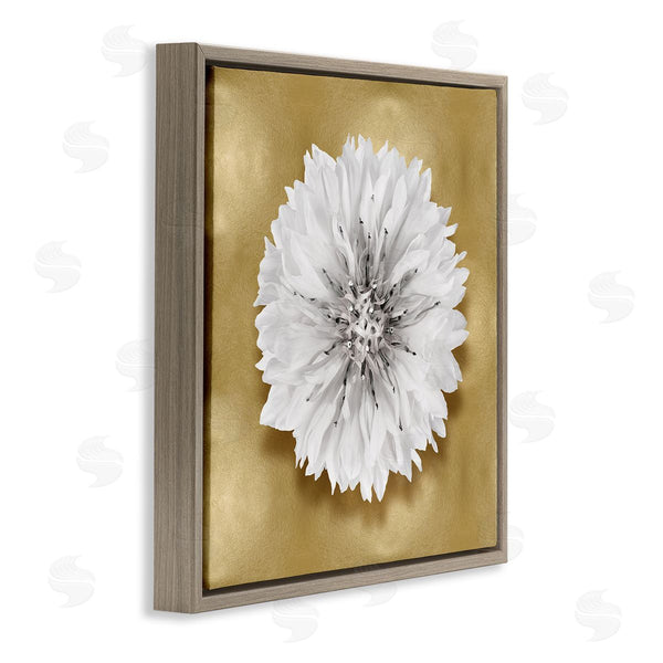 Stupell Industries Caroline Kelly | Modern Glam Dahlia