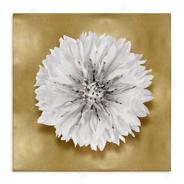stupell industries Caroline Kelly | Modern Glam Dahlia