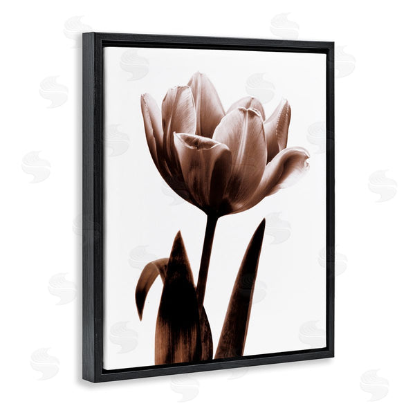 Stupell Industries Caroline Kelly | Modern Tulip On White Wall Art