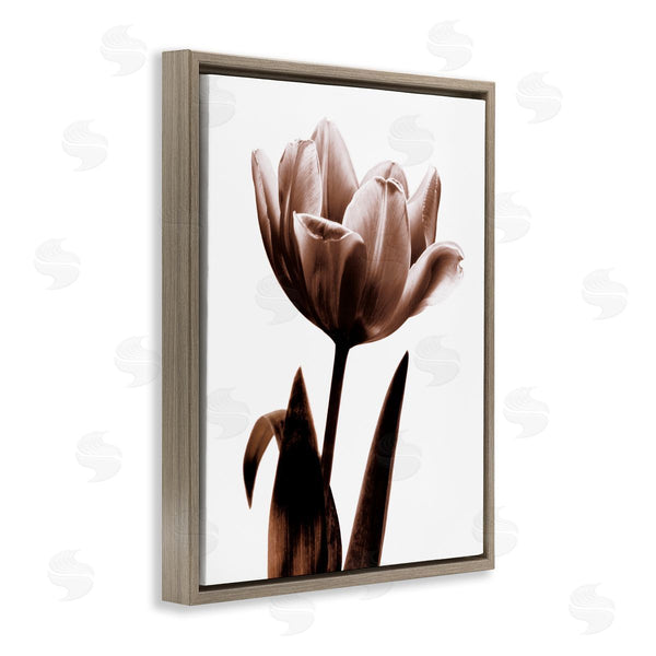 Stupell Industries Caroline Kelly | Modern Tulip On White Wall Art