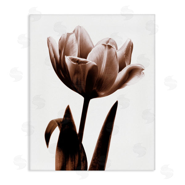 stupell industries Caroline Kelly | Modern Tulip on White Wall Art