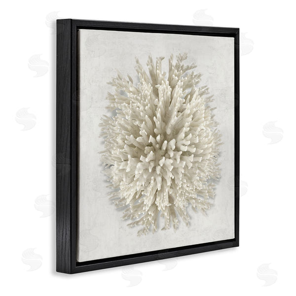 Stupell Industries Caroline Kelly | Natural Round Coral Wall Art