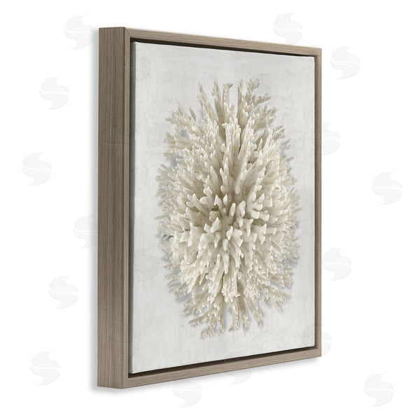 Stupell Industries Caroline Kelly | Natural Round Coral Wall Art