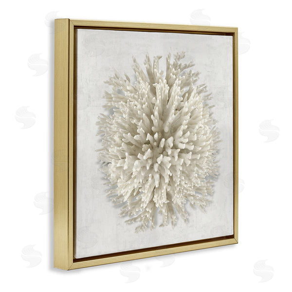 Stupell Industries Caroline Kelly | Natural Round Coral Wall Art
