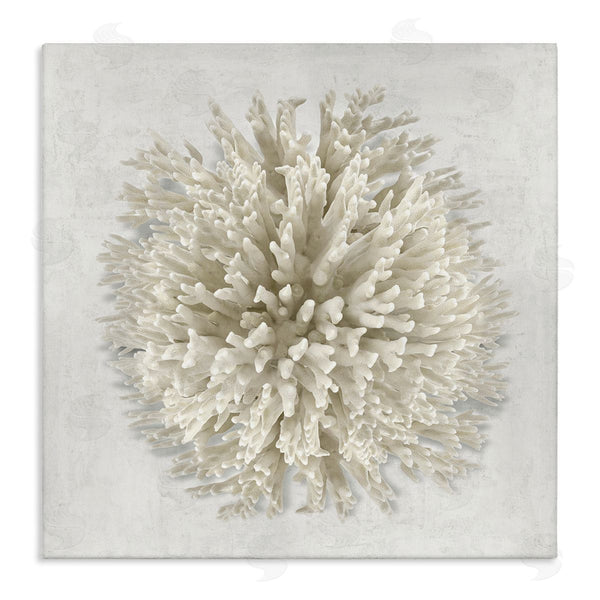 stupell industries Caroline Kelly | Natural Round Coral Wall Art