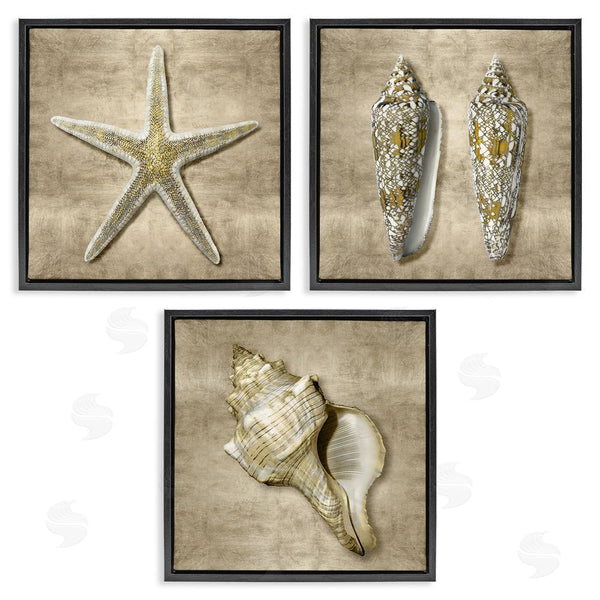 Stupell Industries Caroline Kelly | Nautical Shells Beach Starfish Gold Brown Wall Art