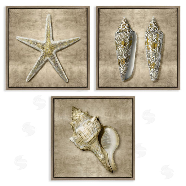 Stupell Industries Caroline Kelly | Nautical Shells Beach Starfish Gold Brown Wall Art