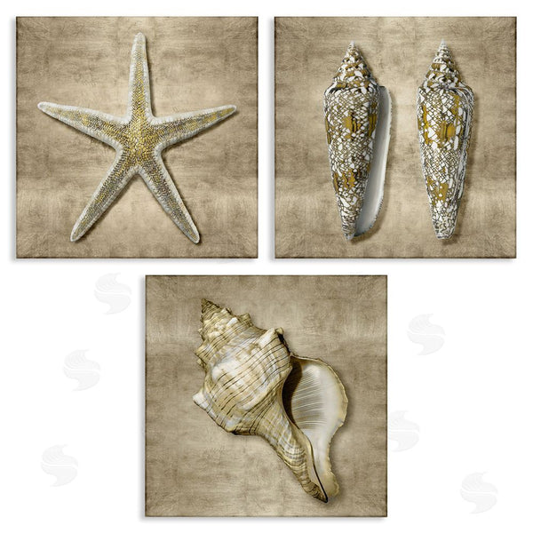 stupell industries Caroline Kelly | Nautical Shells Beach Starfish Gold Brown Wall Art
