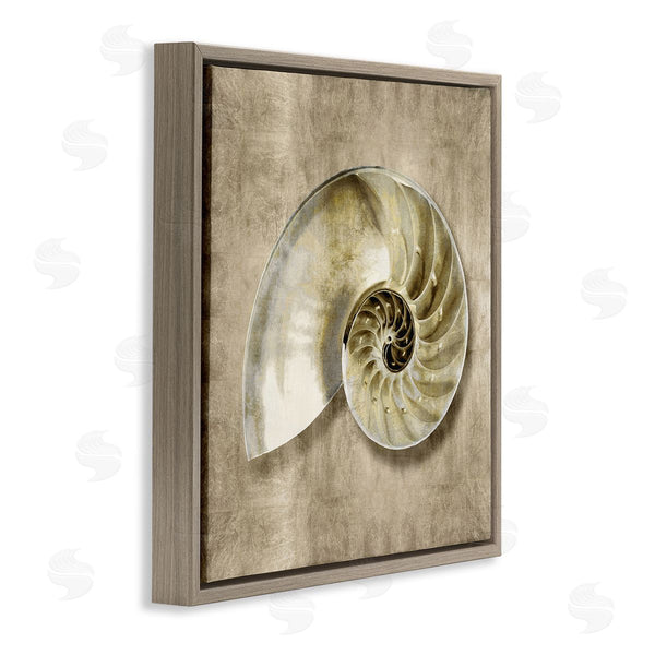 Stupell Industries Caroline Kelly | Nautilus Shell Interior Intricate Animal Muted Neutral