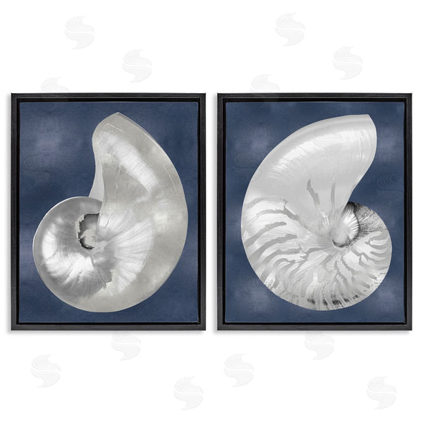 Stupell Industries Caroline Kelly | Nautilus Spiral Shells On Blue