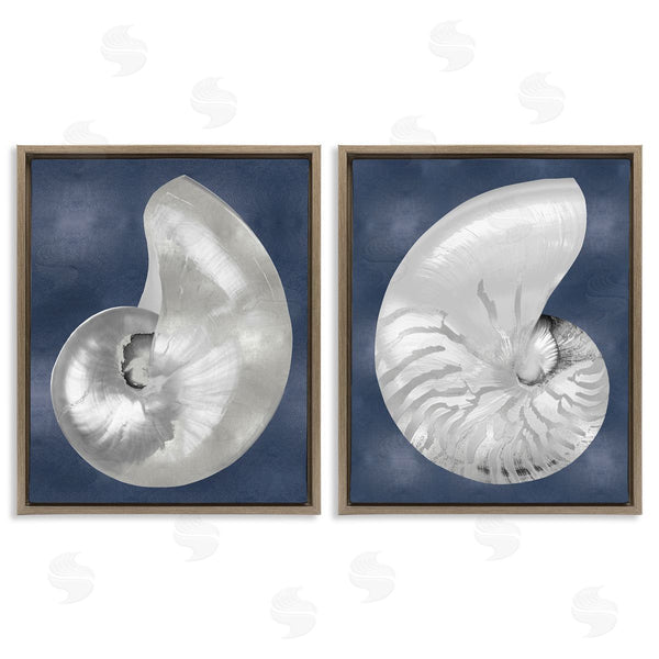 Stupell Industries Caroline Kelly | Nautilus Spiral Shells On Blue
