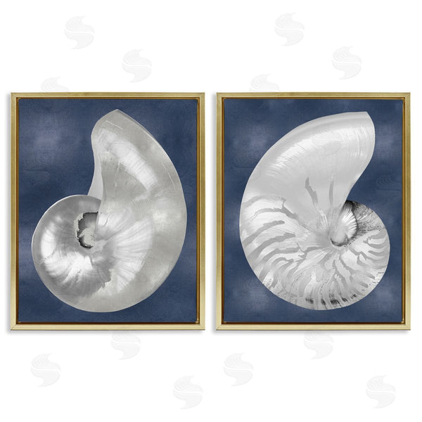 Stupell Industries Caroline Kelly | Nautilus Spiral Shells On Blue