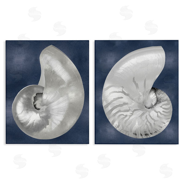 stupell industries Caroline Kelly | Nautilus Spiral Shells on Blue