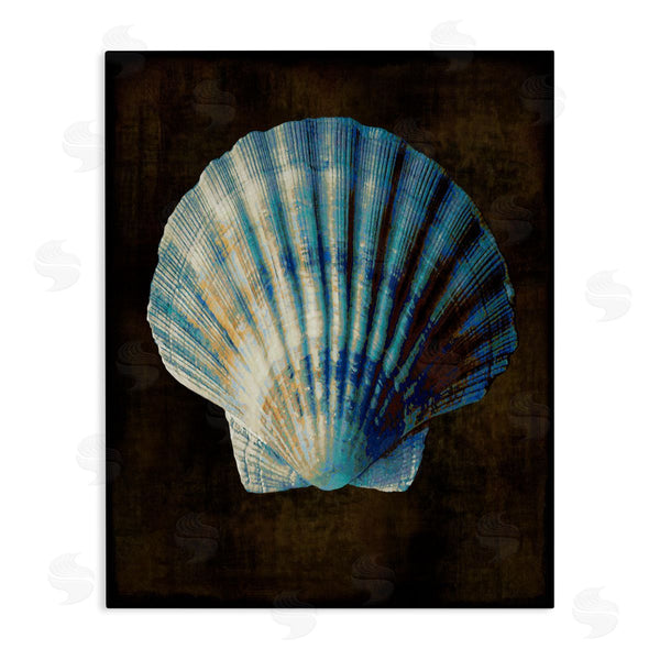 stupell industries Caroline Kelly | Rustic Clam Shell Wall Art