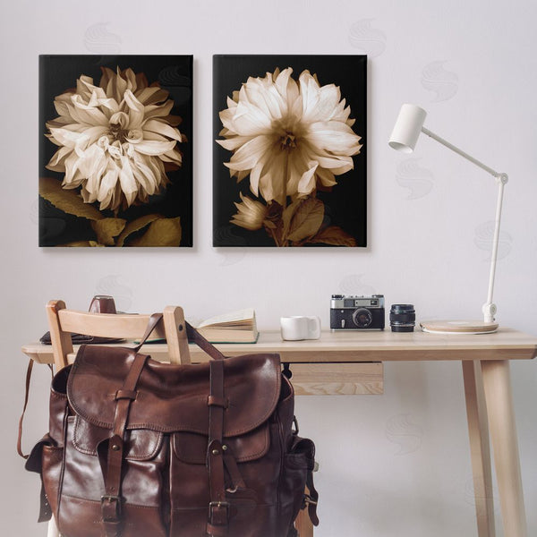 Stupell Industries Caroline Kelly | Sepia Chrysanthemum Flower Blooms Wall Art