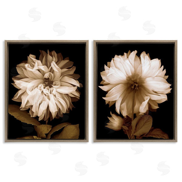 Stupell Industries Caroline Kelly | Sepia Chrysanthemum Flower Blooms Wall Art