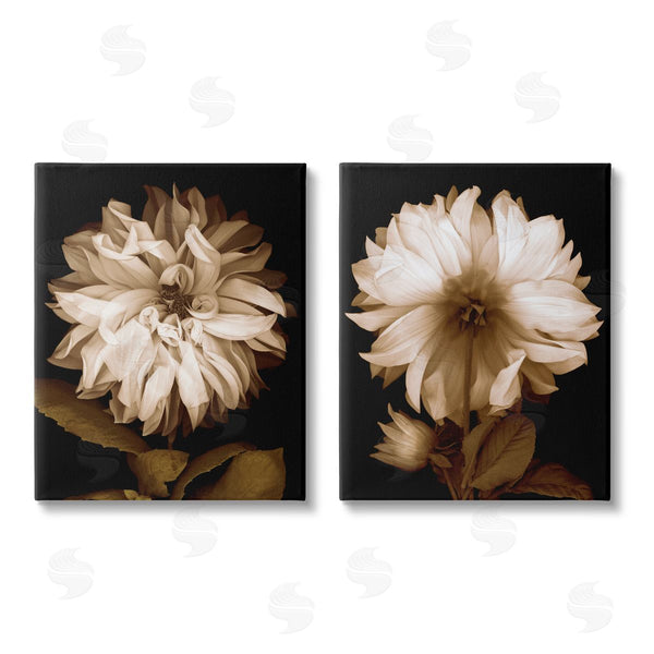 stupell industries Caroline Kelly | Sepia Chrysanthemum Flower Blooms Wall Art
