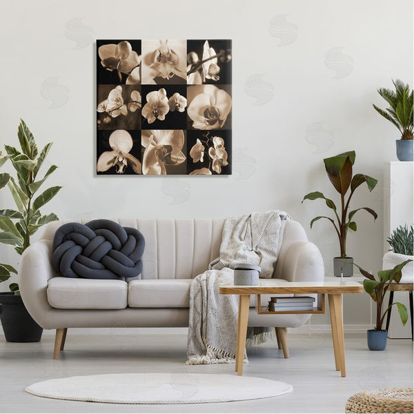 Stupell Industries Caroline Kelly | Sepia Orchid Varied Photography Wall Art