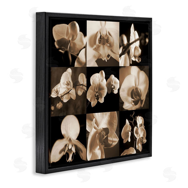Stupell Industries Caroline Kelly | Sepia Orchid Varied Photography Wall Art