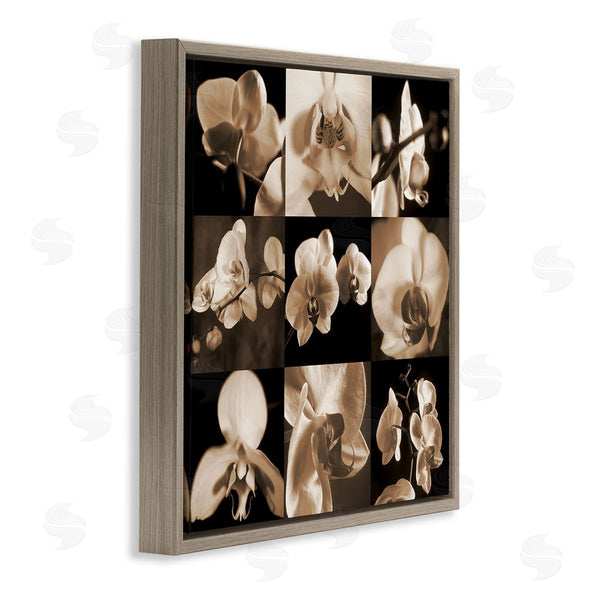 Stupell Industries Caroline Kelly | Sepia Orchid Varied Photography Wall Art