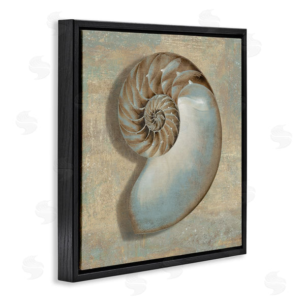 Stupell Industries Caroline Kelly | Shell Beach Objects Design Wall Art