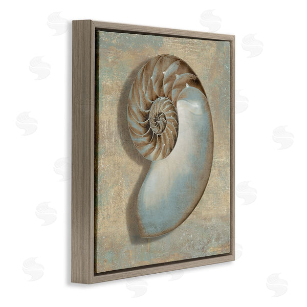 Stupell Industries Caroline Kelly | Shell Beach Objects Design Wall Art