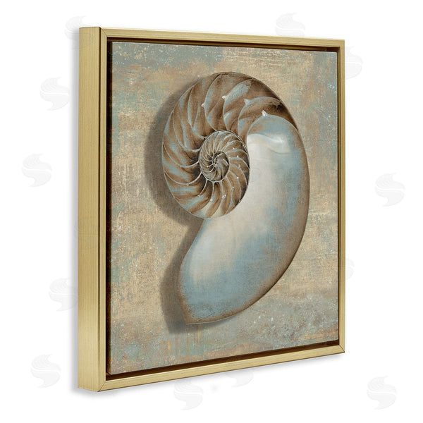 Stupell Industries Caroline Kelly | Shell Beach Objects Design Wall Art