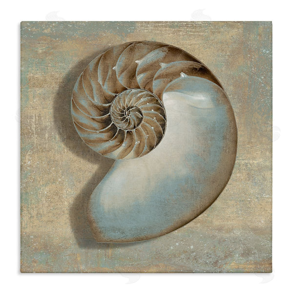 stupell industries Caroline Kelly | Shell Beach Objects Design Wall Art