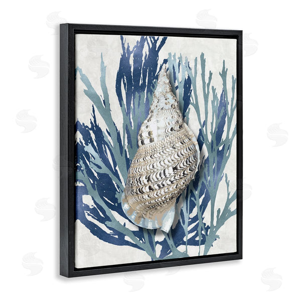 Stupell Industries Caroline Kelly | Shell Coral Blue Beach Design