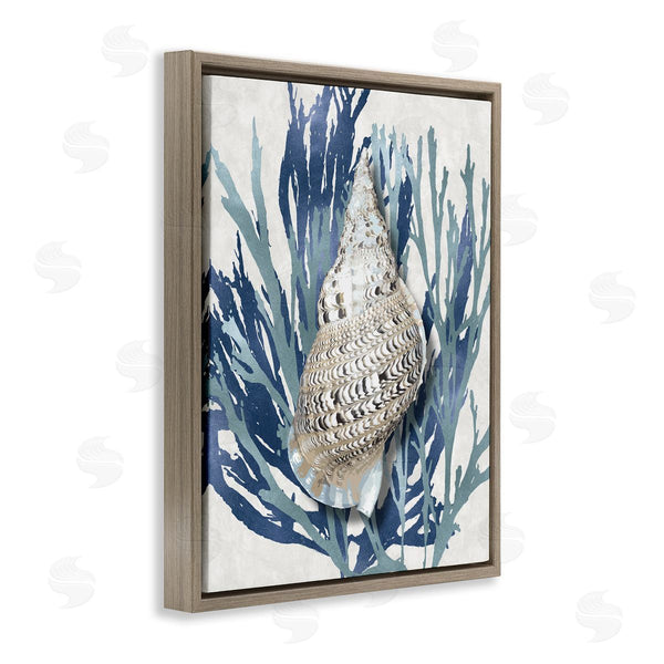 Stupell Industries Caroline Kelly | Shell Coral Blue Beach Design