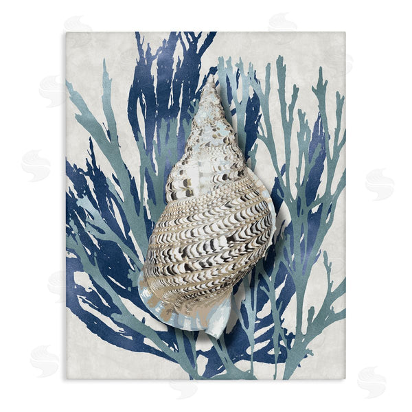 Stupell Industries Caroline Kelly | Shell Coral Blue Beach Design