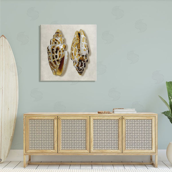 Stupell Industries Caroline Kelly | Speckled Conch Seashell Neutral Tone Sea Life Wall Art