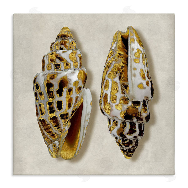 stupell industries Caroline Kelly | Speckled Conch Seashell Neutral Tone Sea Life Wall Art