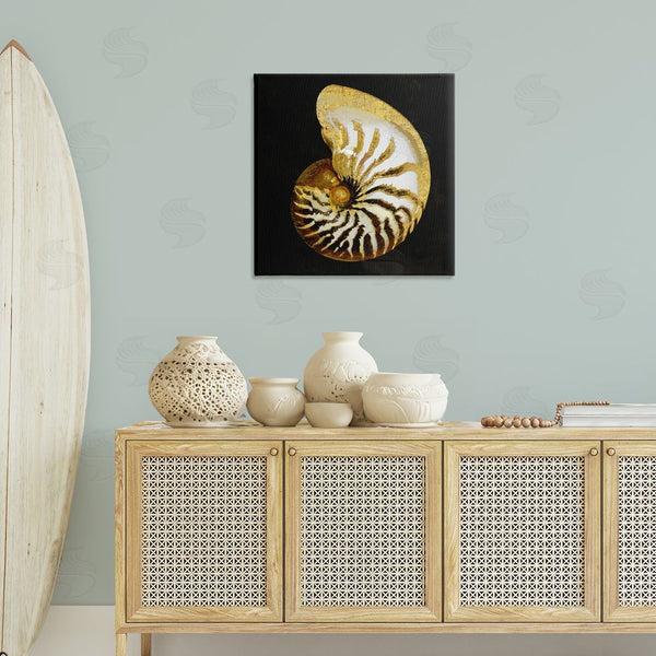 Stupell Industries Caroline Kelly | Spiral Patterned Shell Wall Art
